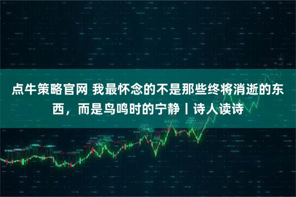 点牛策略官网 我最怀念的不是那些终将消逝的东西，而是鸟鸣时的宁静丨诗人读诗