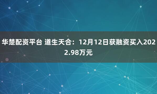 华楚配资平台 道生天合：12月12日获融资买入2022.98万元