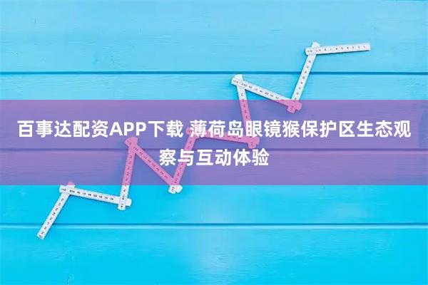 百事达配资APP下载 薄荷岛眼镜猴保护区生态观察与互动体验